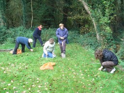 Bulb Planting (1) Oct. 08 Bulb Planting (1) Oct. 08